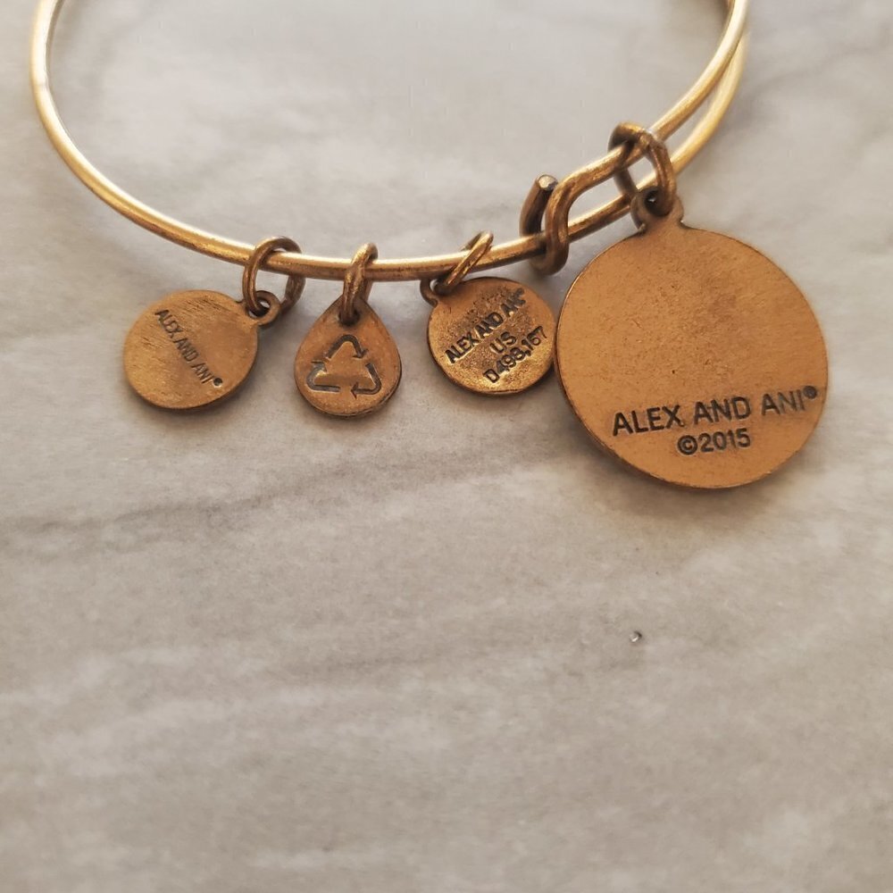 ✨ Alex And Ani Star Of Venus Gold Expandable Charm Bracelet ✨ - Picture 5 of 6
